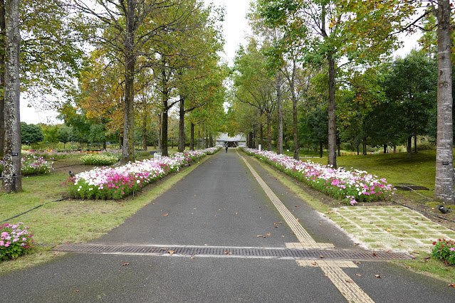 鳥取県西伯郡南部町鶴田　とっとり花回廊　東館通り