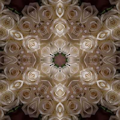 Kaleidoscope White Roses