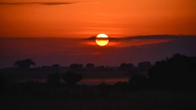 Pôr do Sol, Árvores, Arbustos, Crepúsculo, Noite