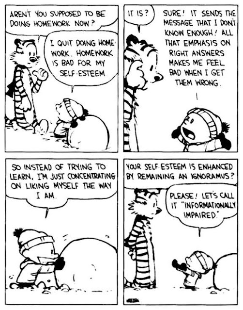 Calvin and Hobbes Cartoon - self esteem