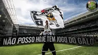 Jogo Do Galo Hoje : Jogo Do Galo Ao Vivo Hoje Gratis : Saiba onde assistir jogo da copa.