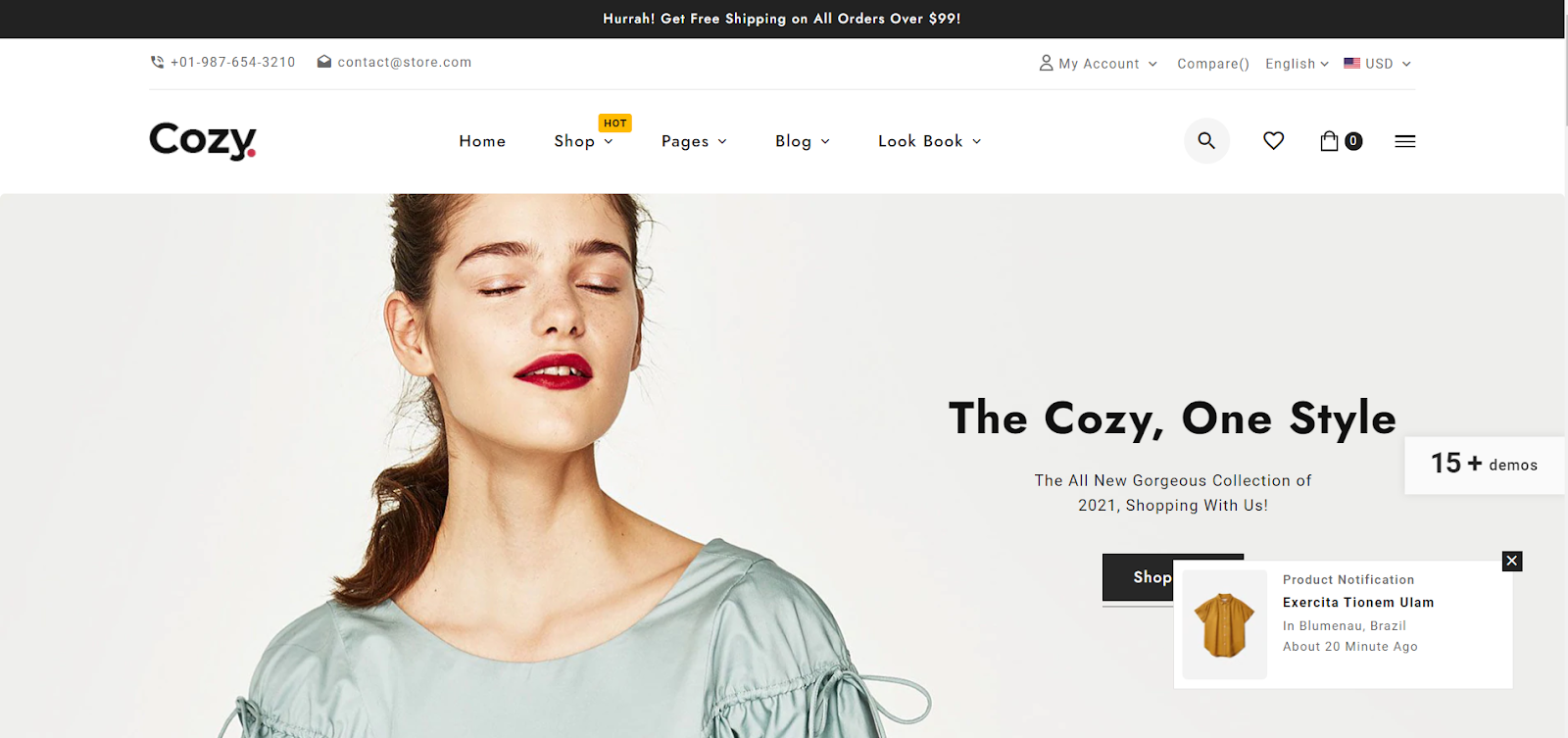 shopify clothing themes