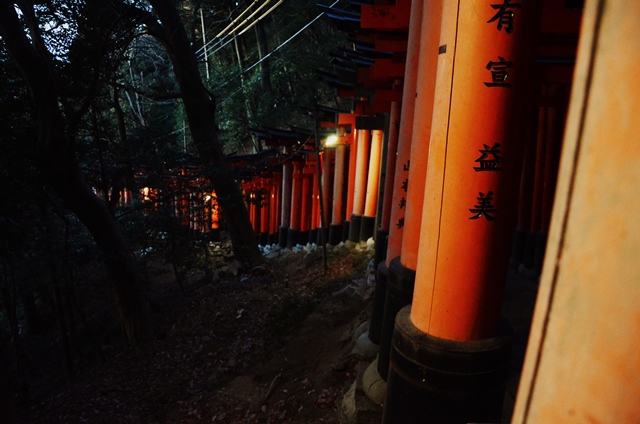 Walking downhill at Fushimi Inari Taisha 伏見稲荷大社