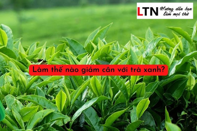 Làm thế nào giảm cân bằng trà xanh?