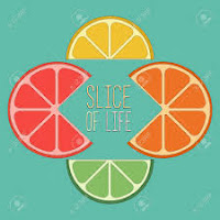 slice of life graphic, a gif with 4 partial slices (lemon, orange, lime, grapefruit)