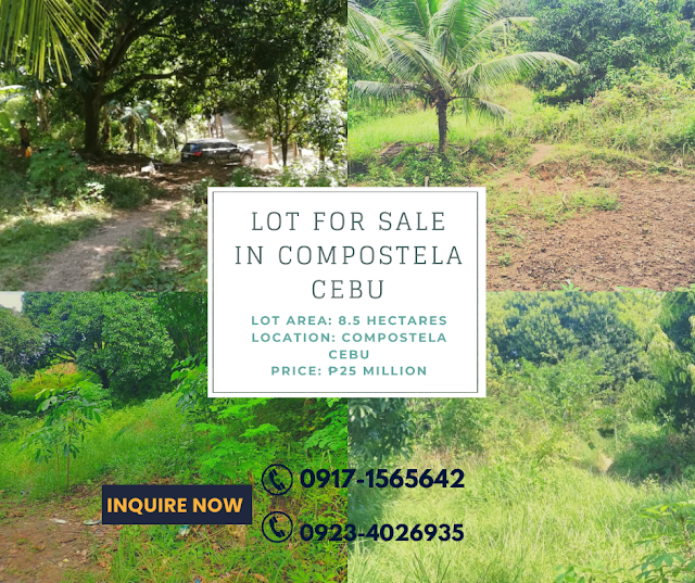 Farm Lot Properties in Compostela Cebu