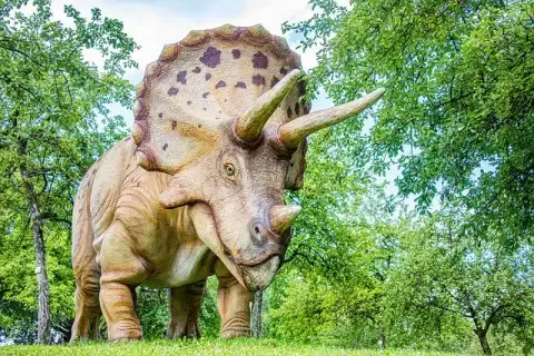 85 Shocking Facts About Triceratops