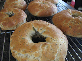 Gluten Free Flavorful Hearty Bagels