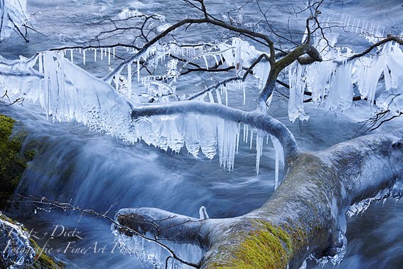 Eisglocken am Zugersee auf der Chiemenhalbinsel