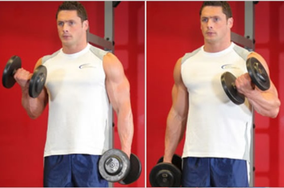 Alternating Dumbbell Curls (Alternatif Dambıl Kıvırma)