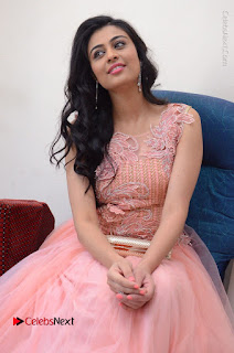 Actress Neha Hinge Stills in Pink Long Dress at Srivalli Teaser Launch  0067.JPG