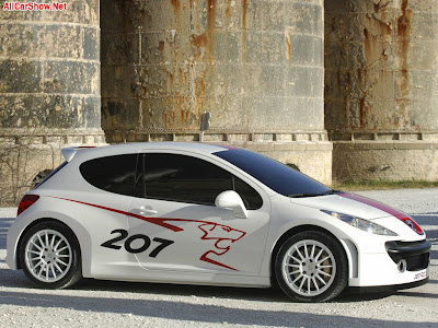 2006 Peugeot 207 RCup Concept