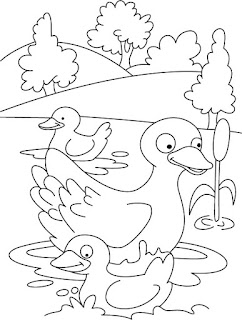 Cute Duck on River Coloring Pages