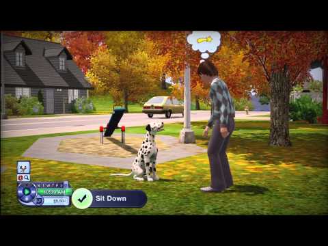 Rose's Game: Free Download The Sims 3 Outdoor Living Stuff ...