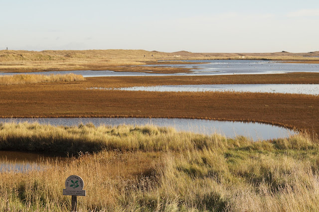 Norfolk Wildlife Trust Cley Marshes Nature Reserve