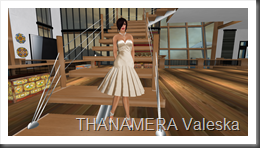 Snapshot_001