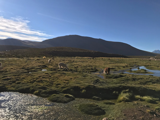 Camino a los géiseres del Tatio, Antofagasta, Chile