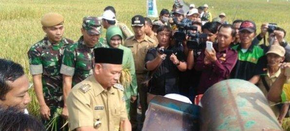 Bupati OKU Timur "Pemerintah Pusat Jangan Bunuh Petani Dengan Impor Beras"