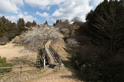 田峯城