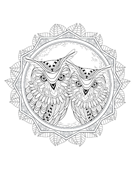 Pics Photos  Animal Owl Coloring Sheets Free For Toddler 