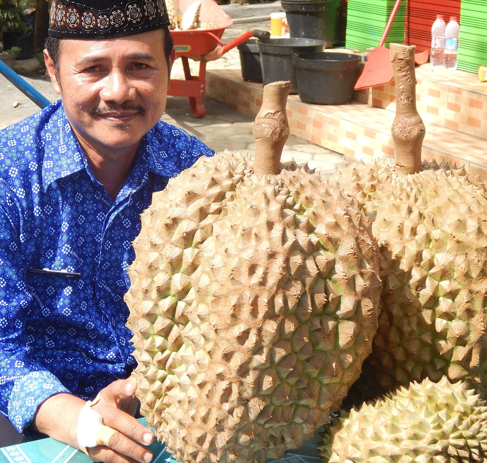 Gambar Kata Lucu Durian Terbaru Dp Bbm Lucu Untuk Hari Ini