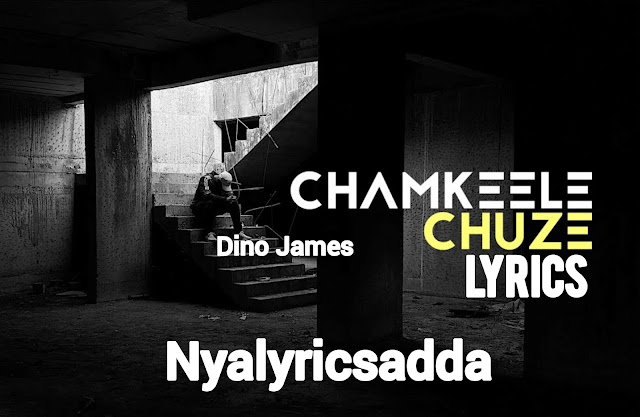 Chamkeele Chuze Song Lyrics In English- Dino James ft.Girish Nakod | Tiktok Roast Song |