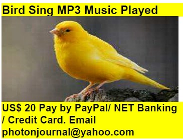 Bird Sing MP3 Music Played bird story book