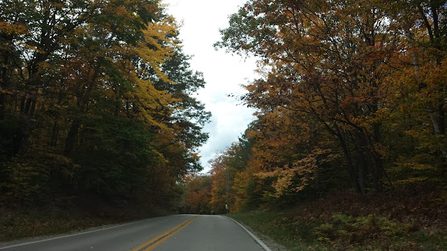 road route fall autumn automne trees tree arbres michigan