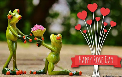 Happy Rose Day Pictures,Happy Rose Day Pictures 2020