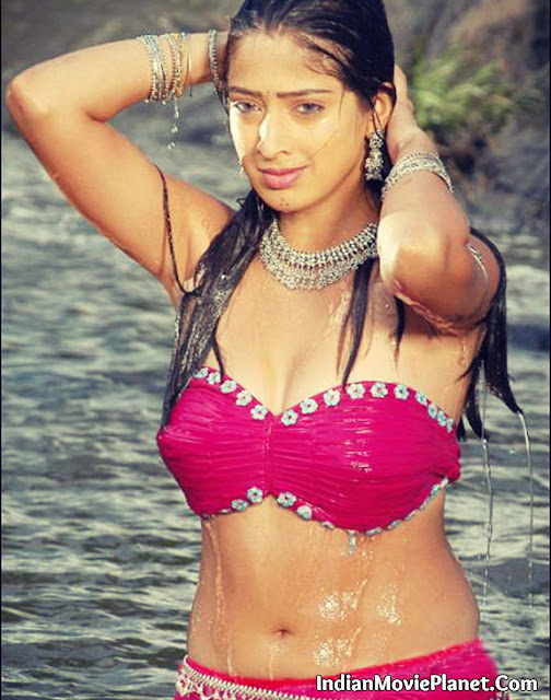 Lakshmi rai hot wet photo gallery