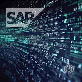 Desarrollo: Secretos del SAP Business Object Repository