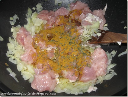 Pui indian Korma - adaugam pieptul de pui si garam massala