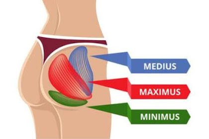 EASY EXERCISES TO RESTORE AND STRENGTHEN GLUTEAL MUSCLES AT HOME