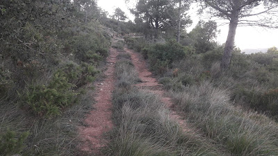 LA COGULLA - EL TOSSAL GROS Figuerola del Camp -(Alt Camp) -  Montblanc - (Conca de Barberà); camí que envolta el Cim de La Cogulla