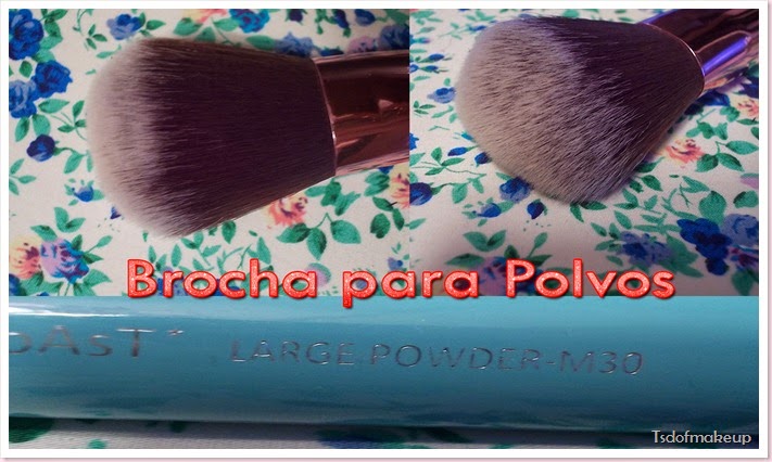 Brocha para polvos