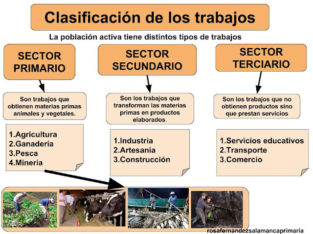 Resultado de imagen de EL SECTOR TERCIARIO 4Âº PRIMARIA