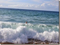 north shore 37