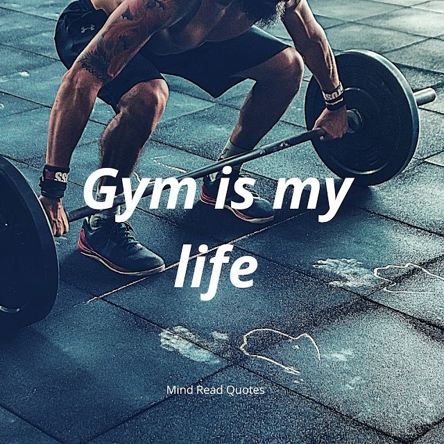 Gym status and gym images
