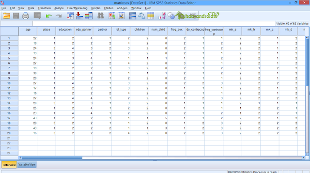 SPSS Statistic