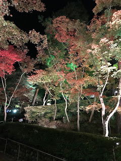 柏崎 松雲山荘庭園紅葉写真