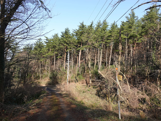 孝霊山　林道から電波塔の山の管理用道路が見えました