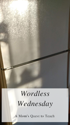 Wordless Wednesday; A Mom's Quest to Teach; fridge