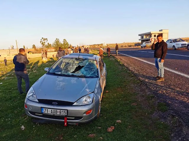 Bozova'da inek kazada telef oldu