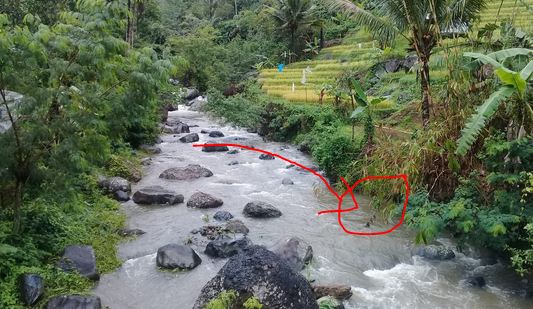 GAMBAR LOKASI SARANG IKAN SIDAT DI SUNGAI INI MASIH BANYAK DAN BESAR