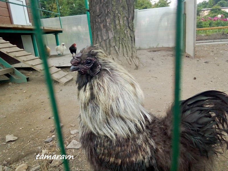 В ботаническом саду