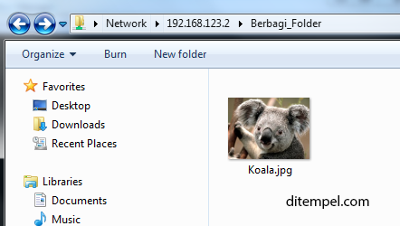 file Koala