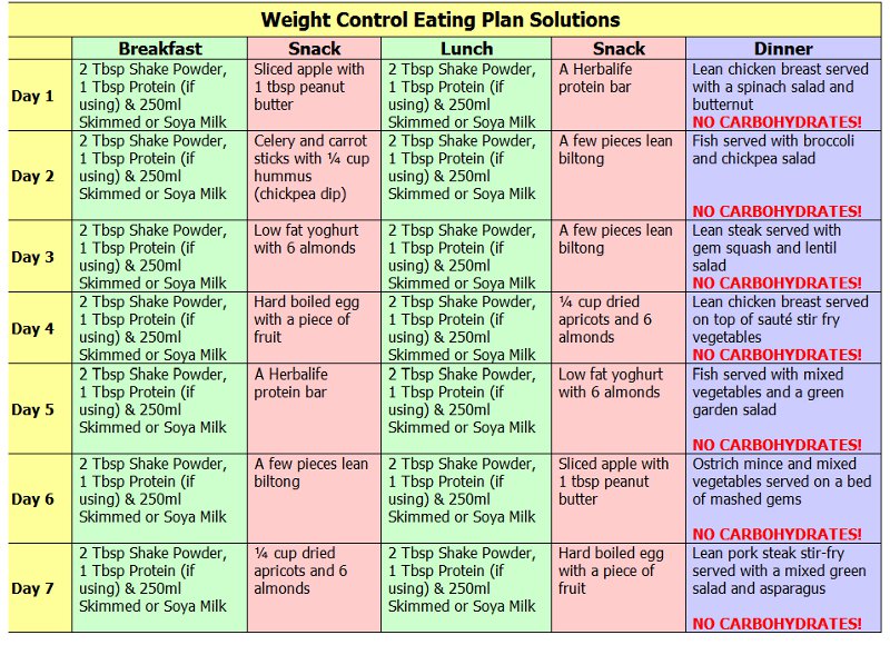 Maintain good Nutrition! What is a Nutritional Shake?