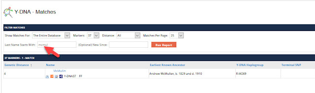 search Y-DNA by surname