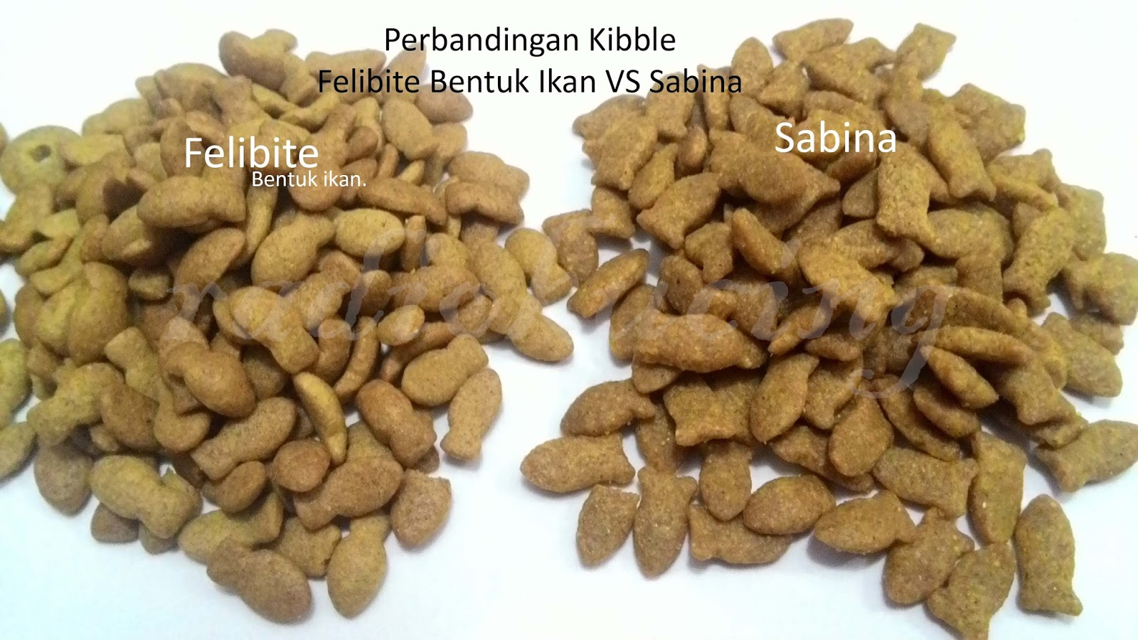 Review Makanan Kucing Felibite Buatan Indonesia