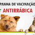 Saúde: Campanha nacional de vacinação antirrábica tem sua conclusão sexta-feira